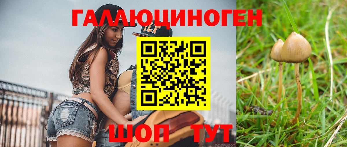 Благодарный  Псилоцибиновые грибы GOLDEN TEACHER  Псилоцибиновые грибы мухоморы  Вход с VPN 